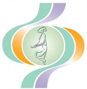bgmea logo